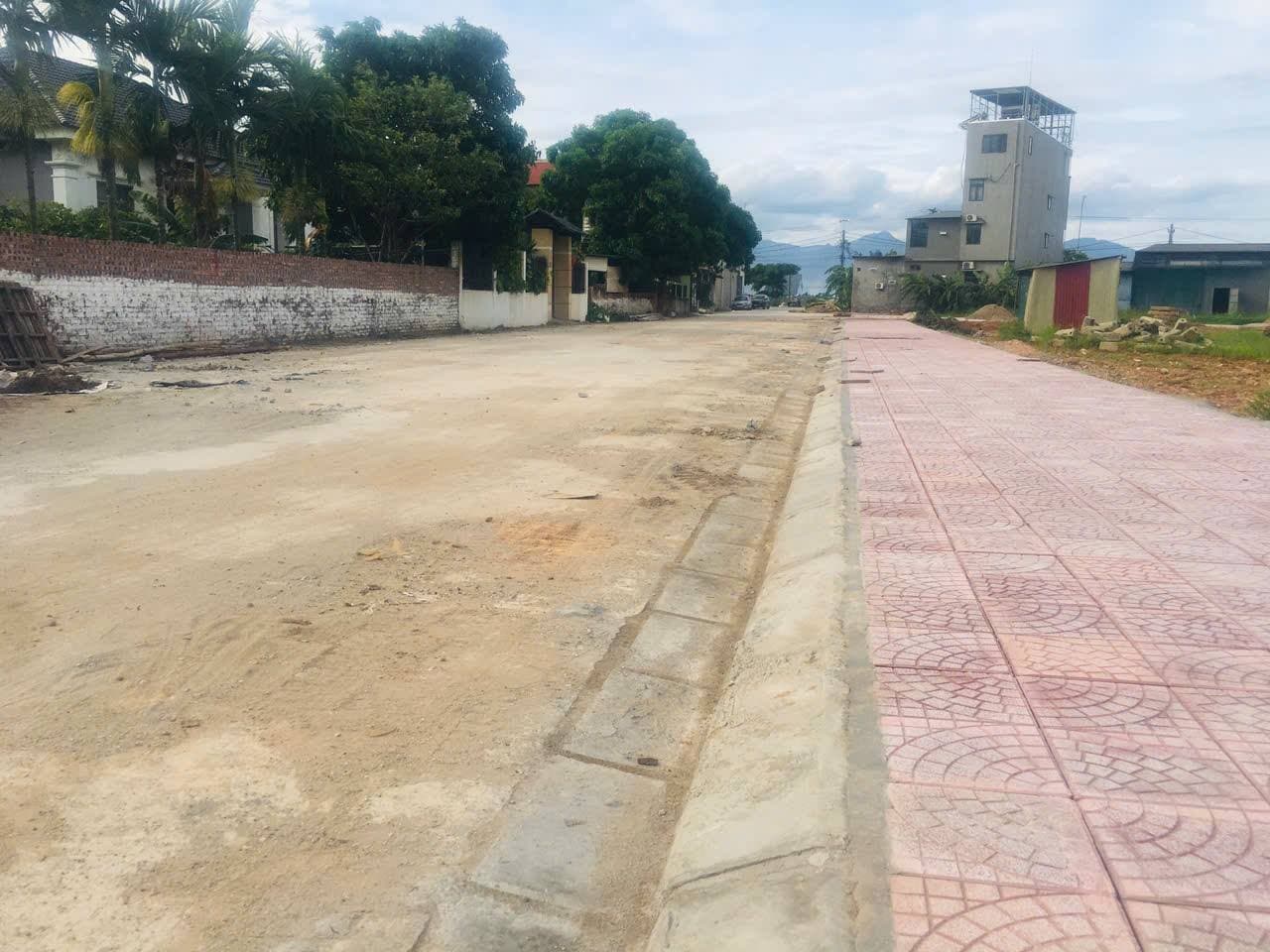 Bán đất H. Tam Dương, T. Vĩnh Phúc - Ảnh 2