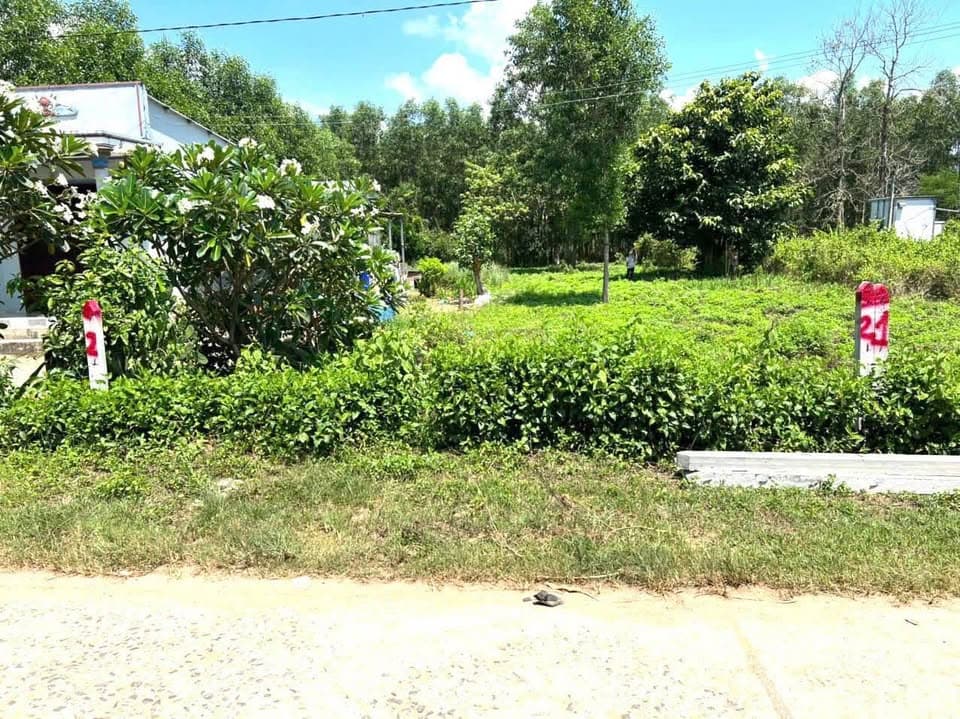 Bán đất X. Diên Lâm, H. Diên Khánh, T. Khánh Hòa - Ảnh 3