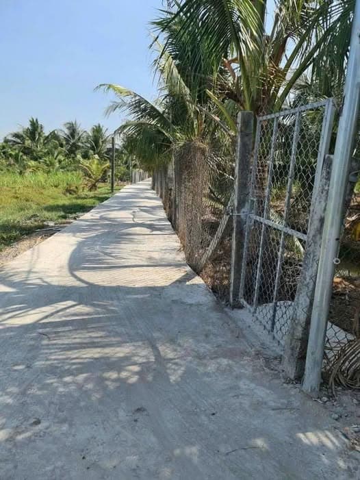 Bán đất X. Tam Phước, H. Châu Thành, T. Bến Tre