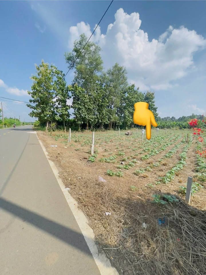 Bán đất X. Phú Vinh, H. Định Quán, T. Đồng Nai - Ảnh 2