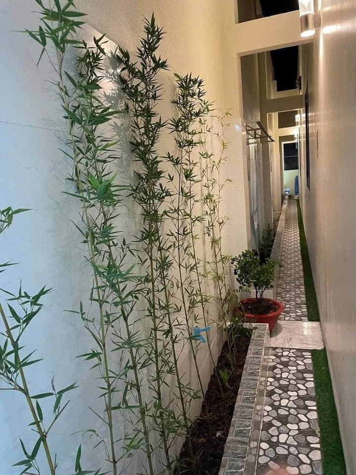 Bán nhà riêng X. Long Định, H. Cần Đước, T. Long An - Ảnh 3