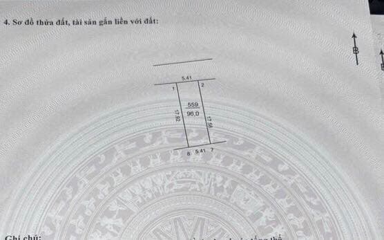 Bán đất X. Mai Đình, H. Sóc Sơn, Tp. Hà Nội - Ảnh 3