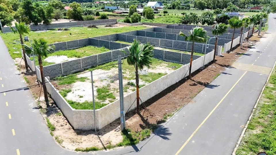 Bán đất H. Đất Đỏ, T. Bà Rịa - Vũng Tàu - Ảnh 2