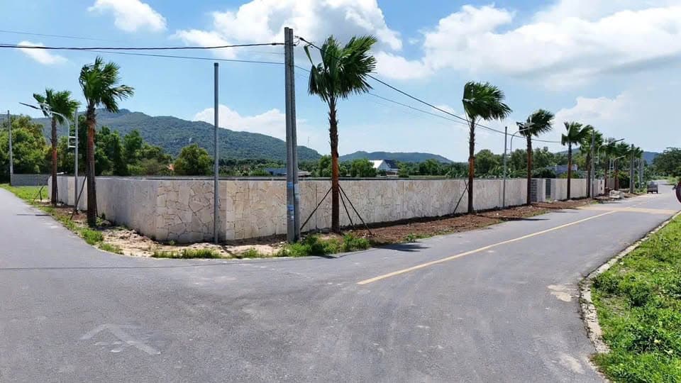 Bán đất H. Đất Đỏ, T. Bà Rịa - Vũng Tàu - Ảnh 3