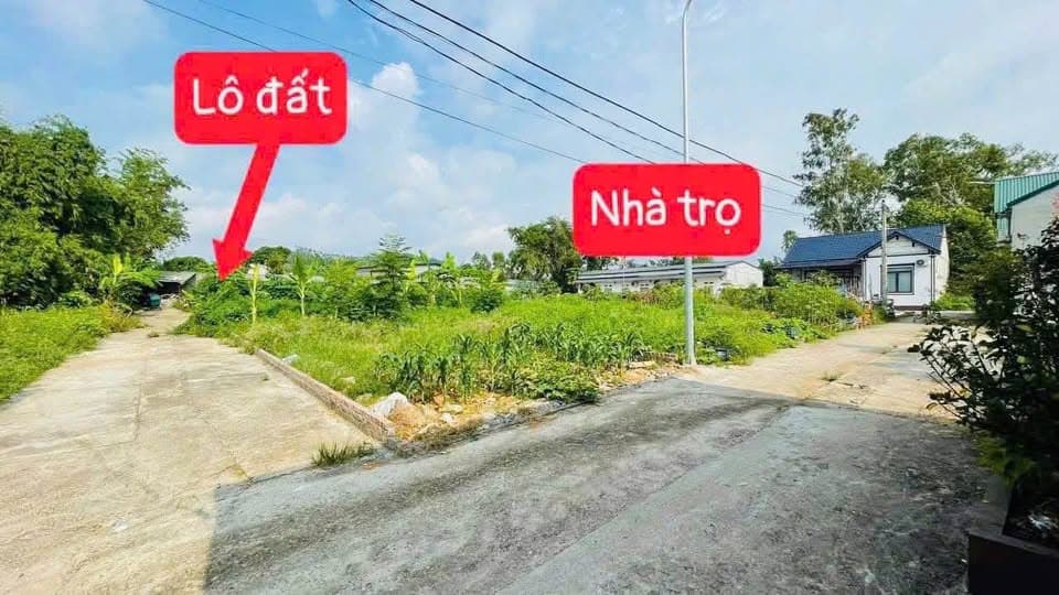 Bán đất Đ. Tam Lộng, X. Hương Sơn, H. Bình Xuyên, T. Vĩnh Phúc - Ảnh 2