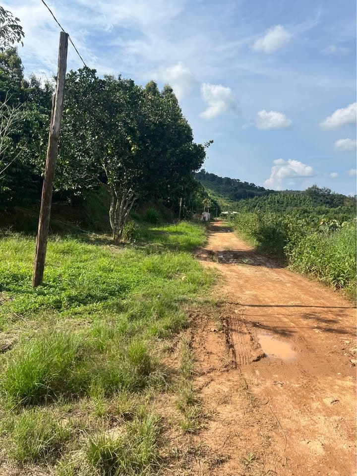 Bán đất X. Đắk Nia, Tp. Gia Nghĩa, T. Đắk Nông - Ảnh 2