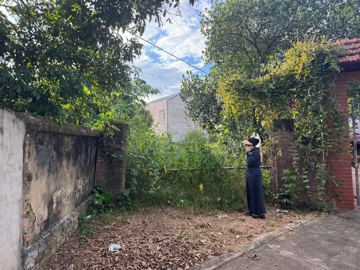 Bán đất Tt. Kim Long, H. Tam Dương, T. Vĩnh Phúc