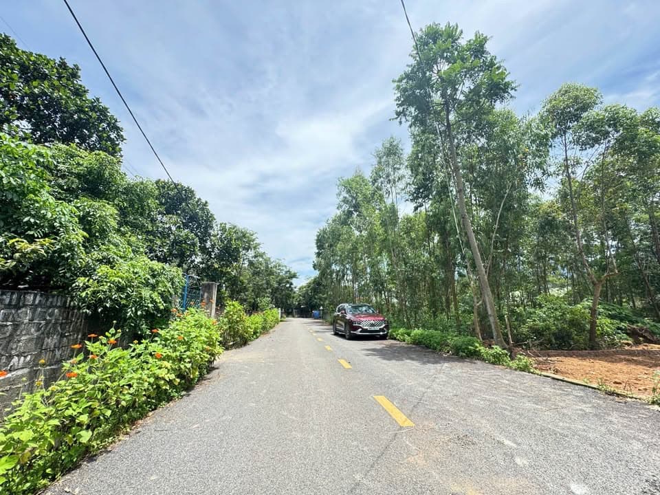 Bán đất H. Tam Dương, T. Vĩnh Phúc