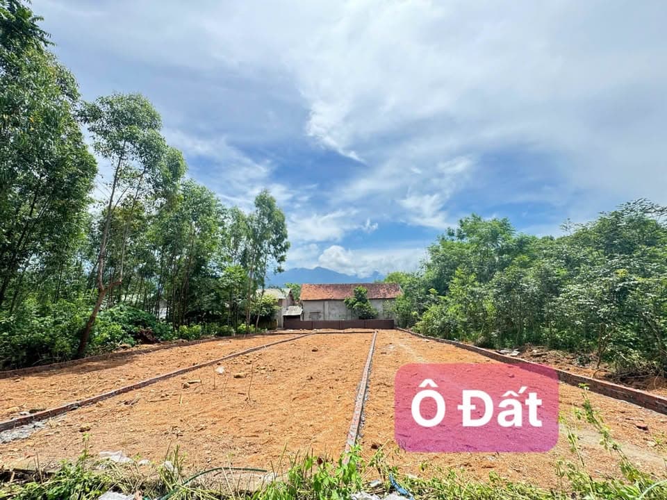 Bán đất H. Tam Dương, T. Vĩnh Phúc - Ảnh 2