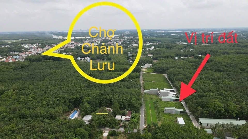 Bán đất P. Chánh Phú Hòa, Tx. Bến Cát, T. Bình Dương - Ảnh 2