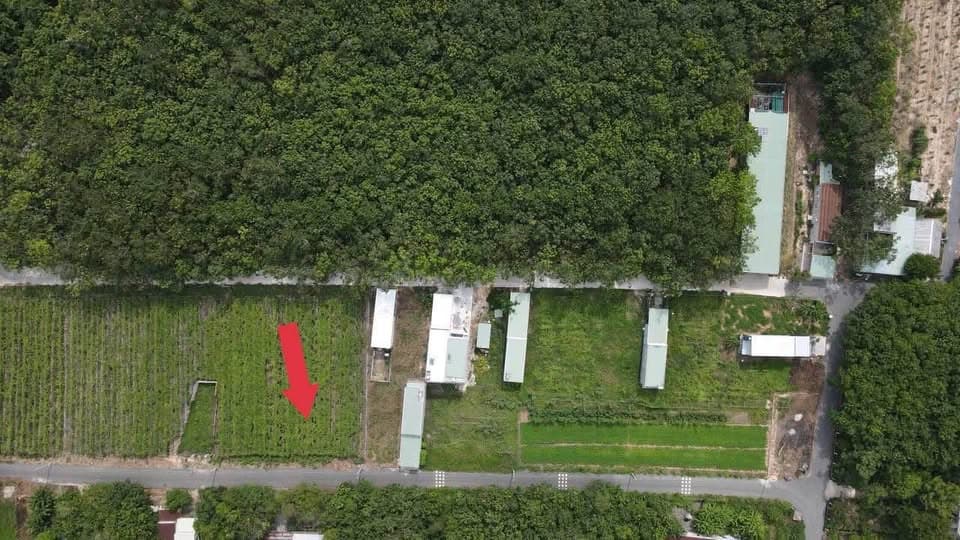 Bán đất P. Chánh Phú Hòa, Tx. Bến Cát, T. Bình Dương - Ảnh 3