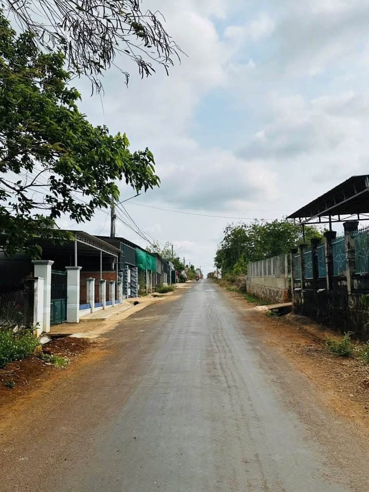 Bán đất X. Ea Kao, Tp. Buôn Ma Thuột, T. Đắk Lắk - Ảnh 2