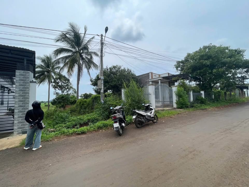 Bán đất X. Ea Kao, Tp. Buôn Ma Thuột, T. Đắk Lắk - Ảnh 3