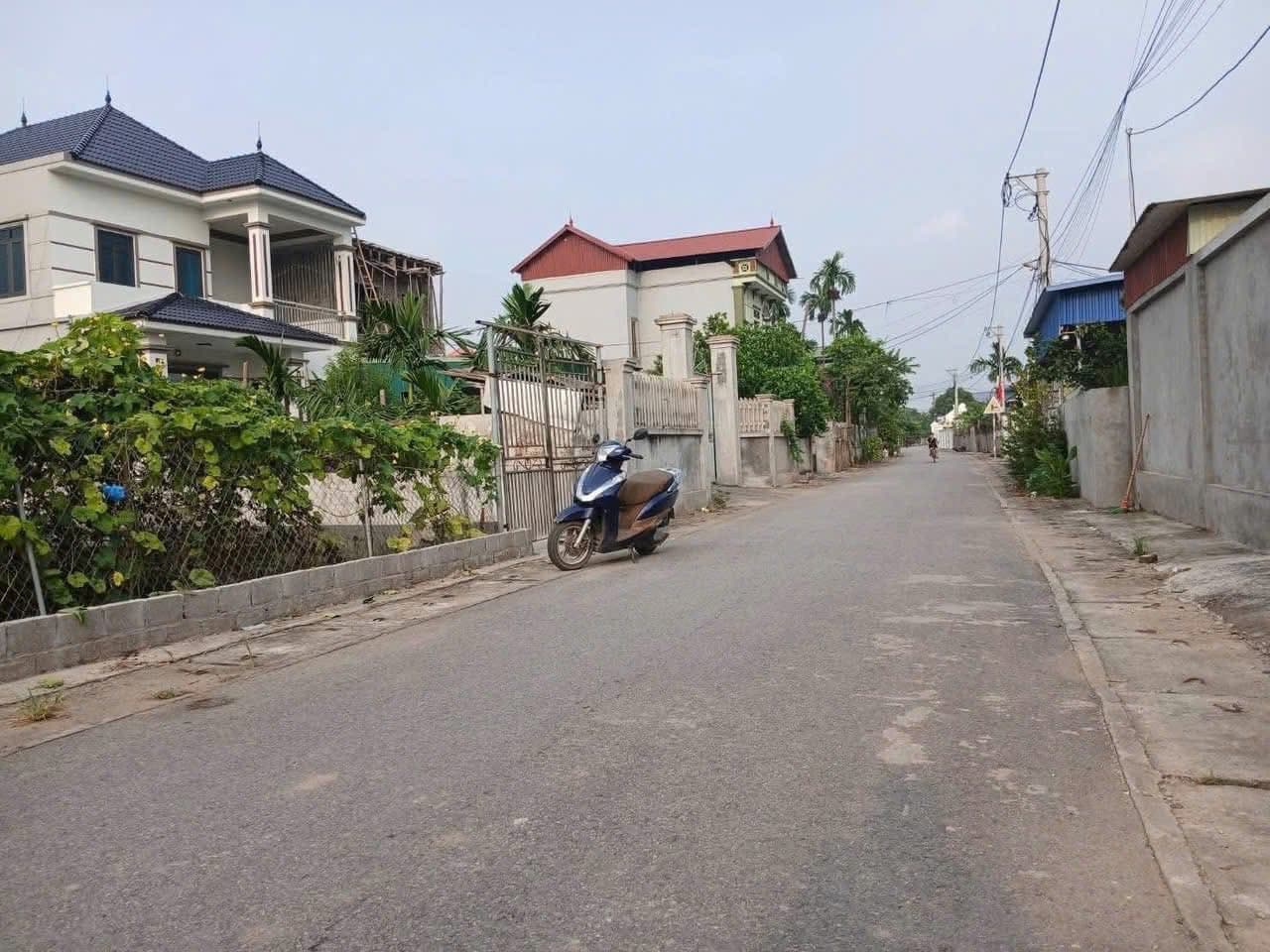 Bán đất X. Tân Dân, H. Khoái Châu, T. Hưng Yên - Ảnh 2