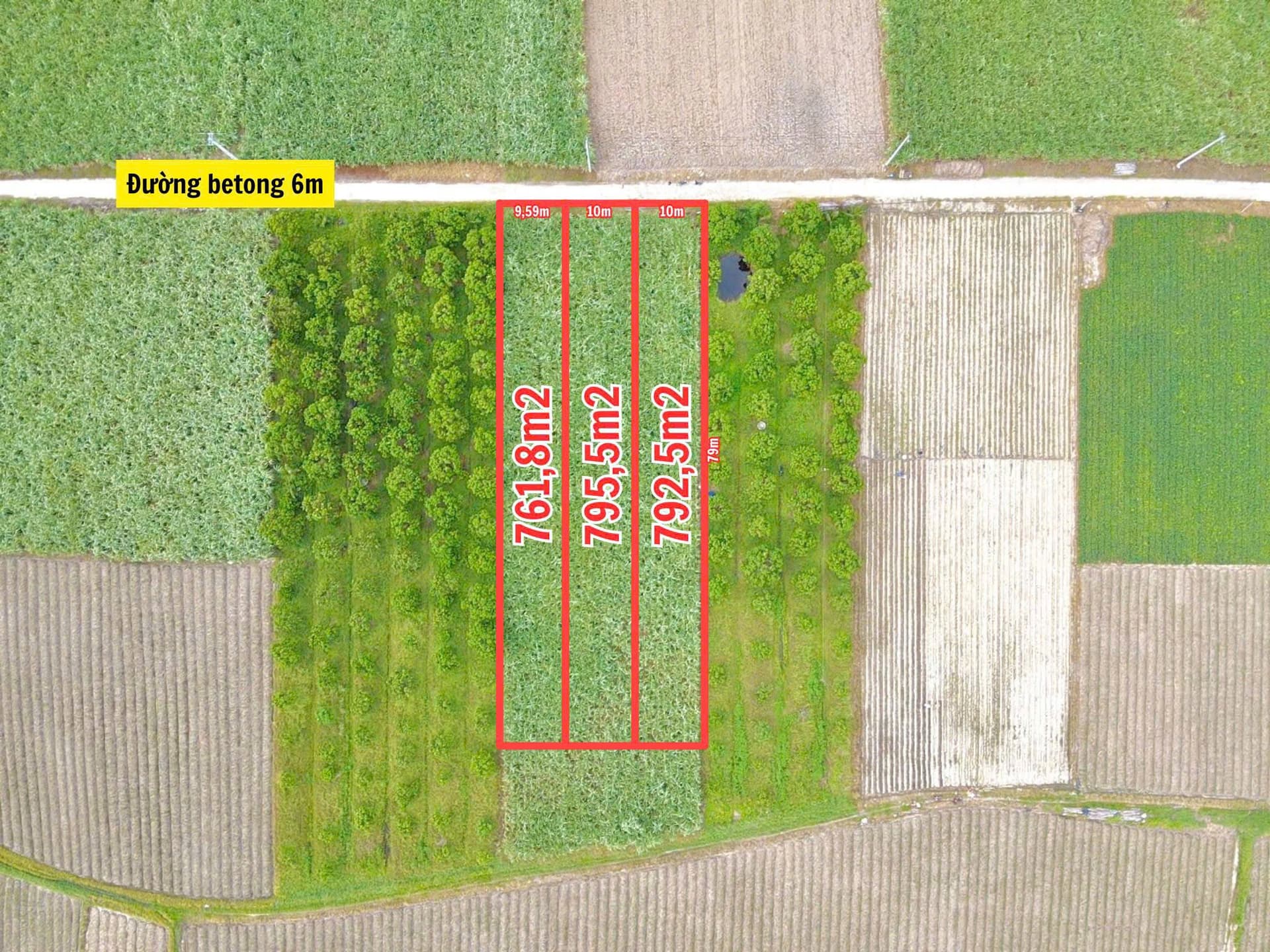 Bán đất X. Cam Hiệp Nam, H. Cam Lâm, T. Khánh Hòa