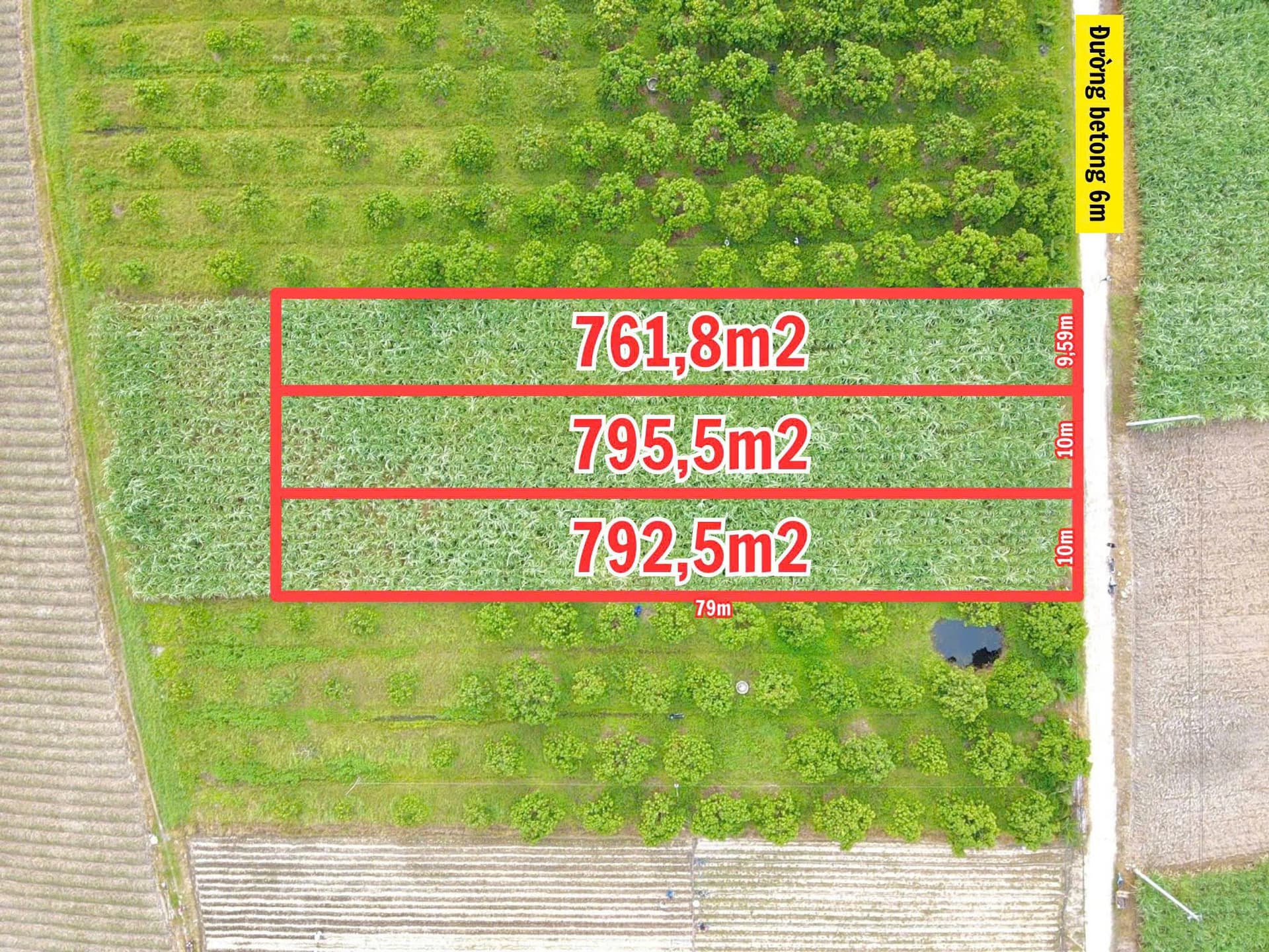 Bán đất X. Cam Hiệp Nam, H. Cam Lâm, T. Khánh Hòa - Ảnh 3