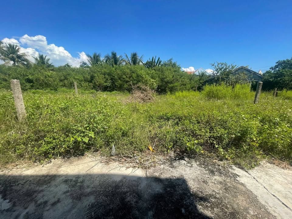 Bán đất Tx. Ninh Hòa, T. Khánh Hòa