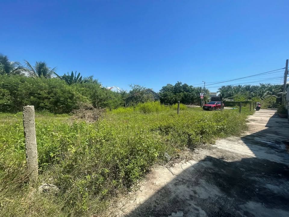 Bán đất Tx. Ninh Hòa, T. Khánh Hòa - Ảnh 2