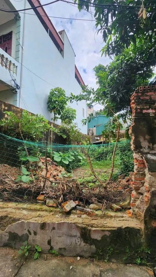 Bán đất P. Hàm Rồng, Tp. Thanh Hóa, T. Thanh Hóa