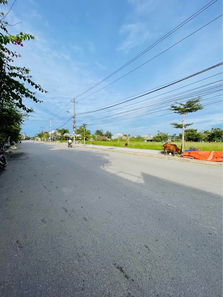 Bán đất Đ. Nguyễn Văn Chư, X. Thủy Thanh, Tx. Hương Thủy, T. Thừa Thiên Huế