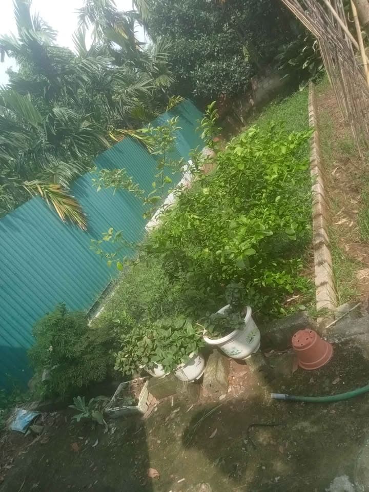 Bán đất H. Phúc Thọ, Tp. Hà Nội