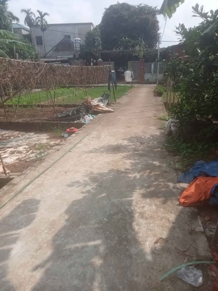 Bán đất H. Phúc Thọ, Tp. Hà Nội - Ảnh 3