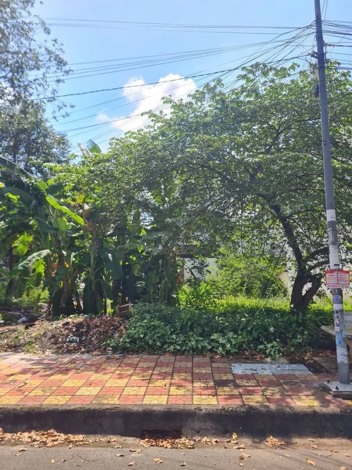 Bán đất Đ. Diệu Hiền, Q. Cái Răng, Tp. Cần Thơ