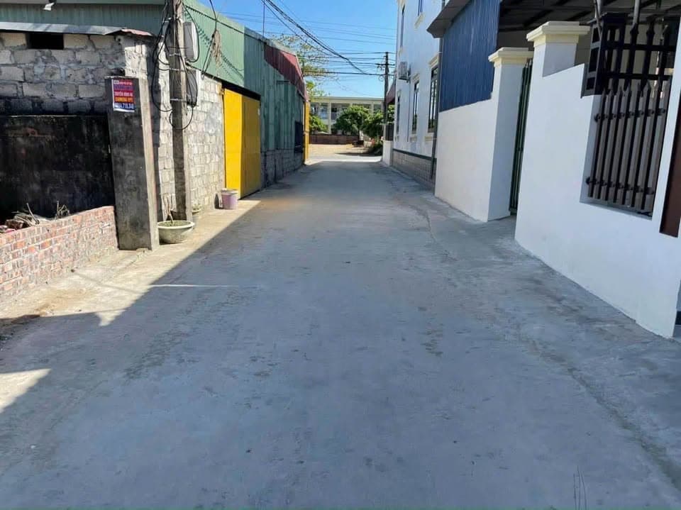 Bán đất X. Minh Tân, H. Kiến Thụy, Tp. Hải Phòng - Ảnh 2