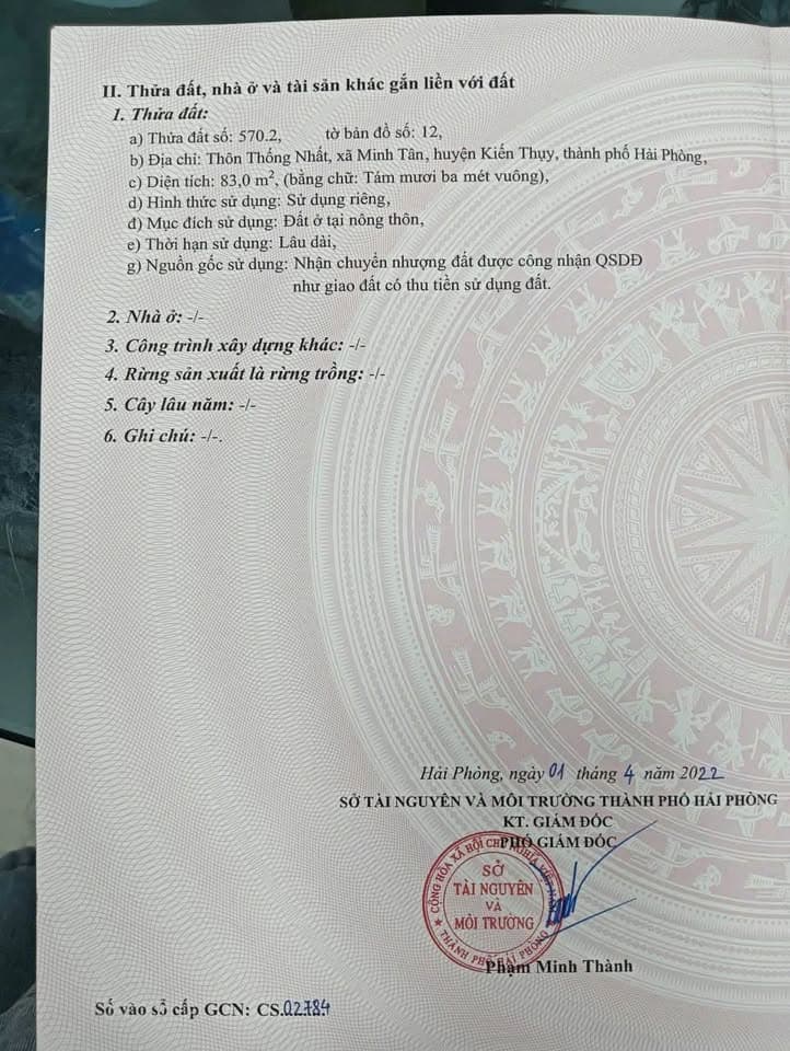 Bán đất X. Minh Tân, H. Kiến Thụy, Tp. Hải Phòng - Ảnh 3