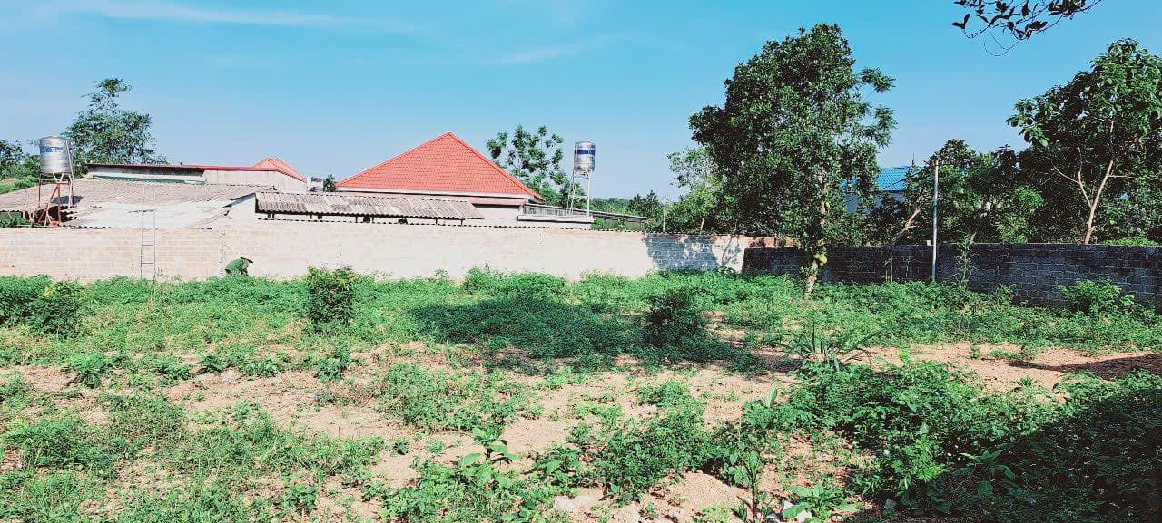 Bán đất X. Ba Trại, H. Ba Vì, Tp. Hà Nội - Ảnh 2