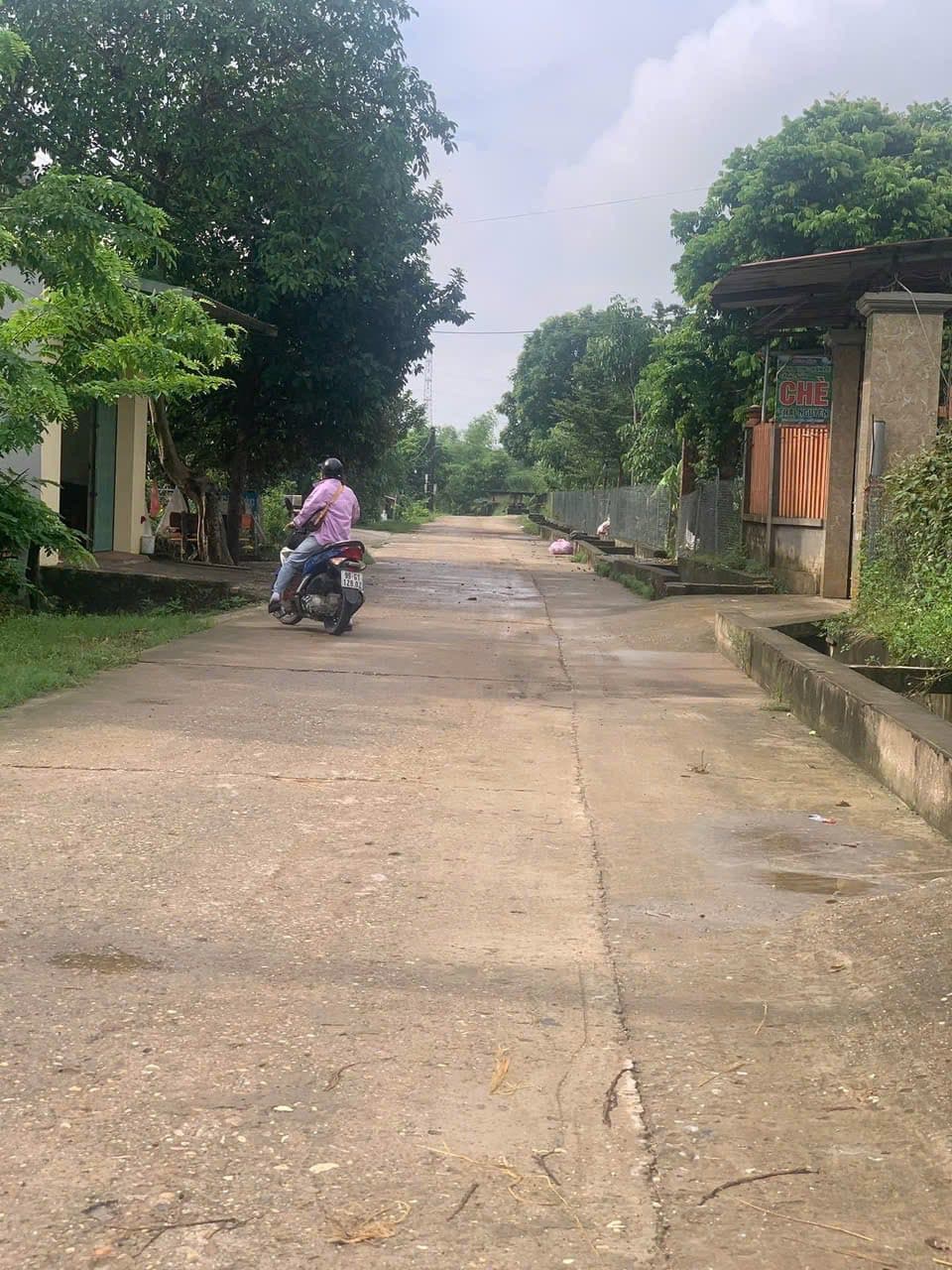 Bán đất X. Đông Lỗ, H. Hiệp Hòa, T. Bắc Giang - Ảnh 2