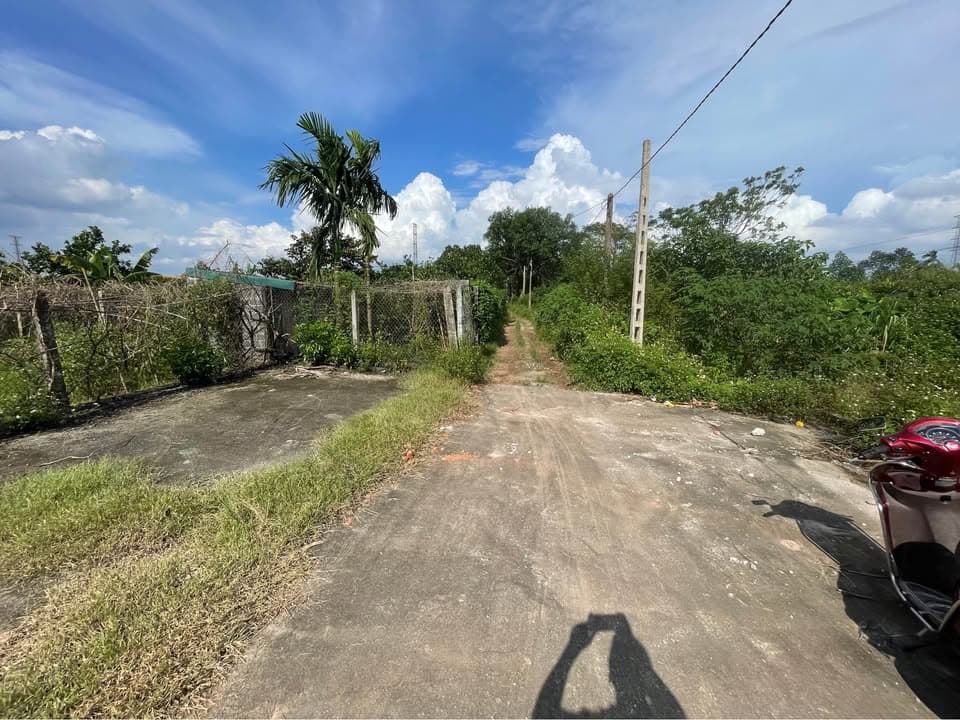 Bán đất X. Sài Sơn, H. Quốc Oai, Tp. Hà Nội - Ảnh 2