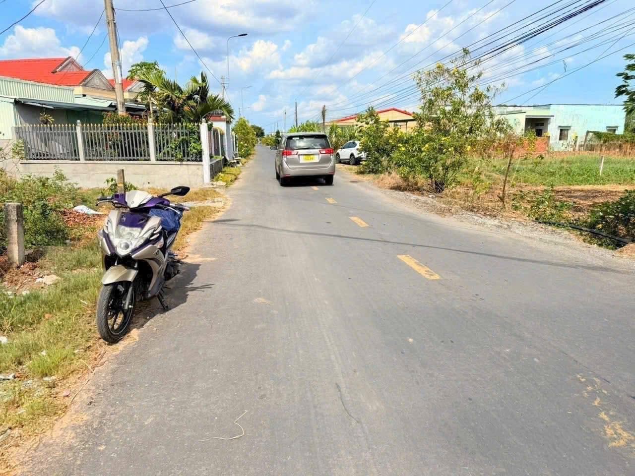 Bán đất Đ. Lộ Đăng Mỹ, X. Tân Bình, H. Tân Trụ, T. Long An - Ảnh 3