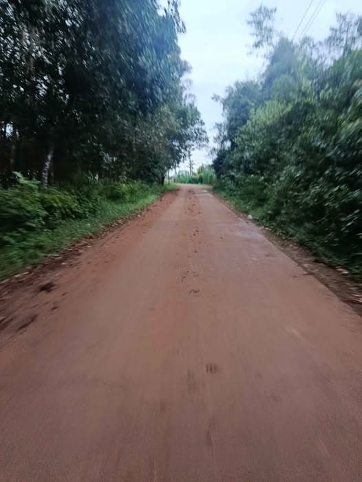 Bán đất X. Nghĩa Thắng, H. Đắk R'Lấp, T. Đắk Nông