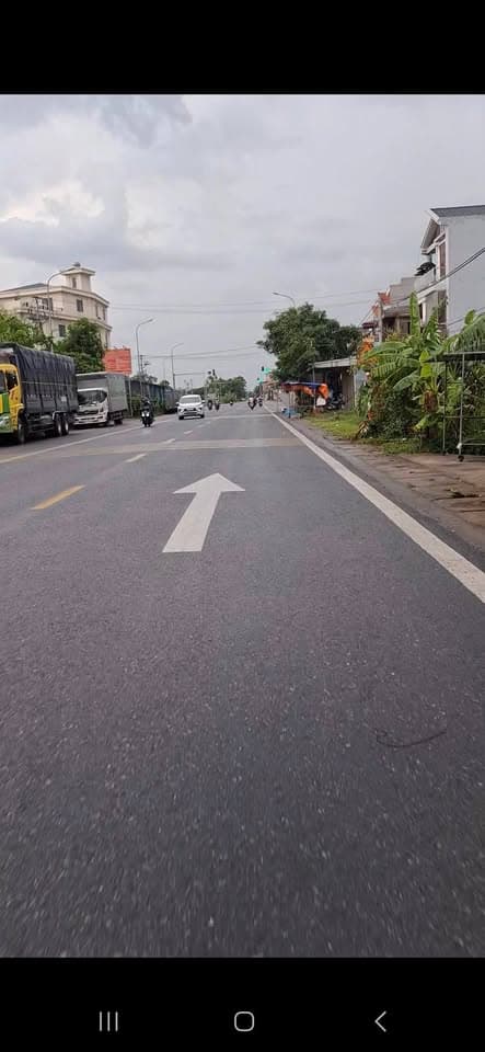 Bán đất Đ. Quốc lộ 38B, X. Đại An, H. Vụ Bản, T. Nam Định - Ảnh 2