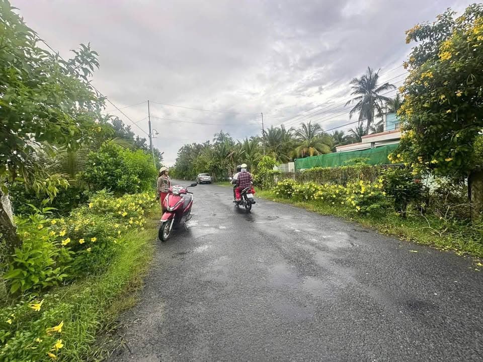 Bán đất H. Mang Thít, T. Vĩnh Long - Ảnh 2