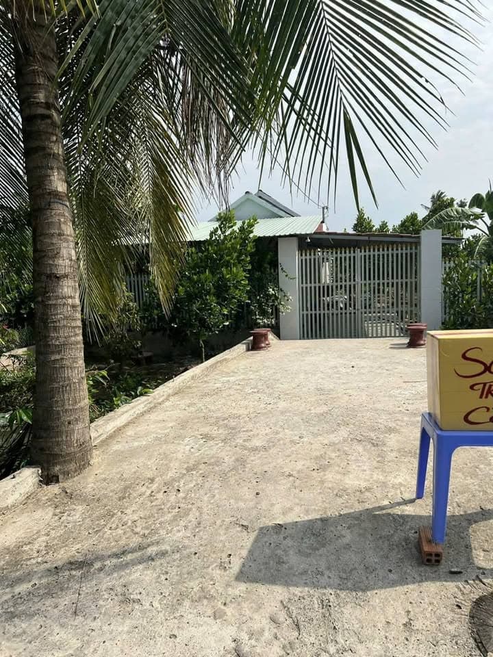 Bán nhà riêng X. Thanh Bình, H. Chợ Gạo, T. Tiền Giang