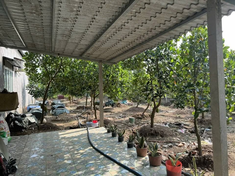 Bán nhà riêng X. Thanh Bình, H. Chợ Gạo, T. Tiền Giang - Ảnh 2