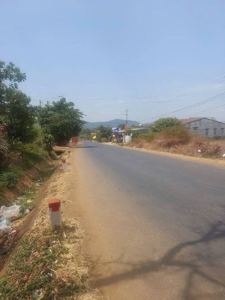 Bán đất Đ. Tỉnh Lộ 5, Tp. Buôn Ma Thuột, T. Đắk Lắk - Ảnh 3