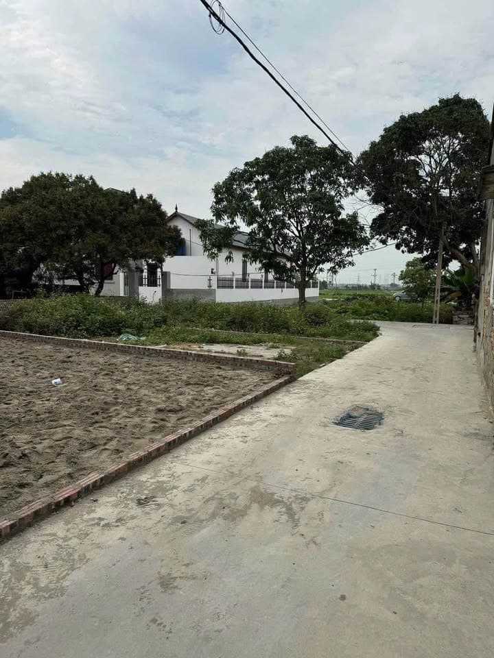 Bán đất X. Hòa Phong, Tx. Mỹ Hào, T. Hưng Yên - Ảnh 2