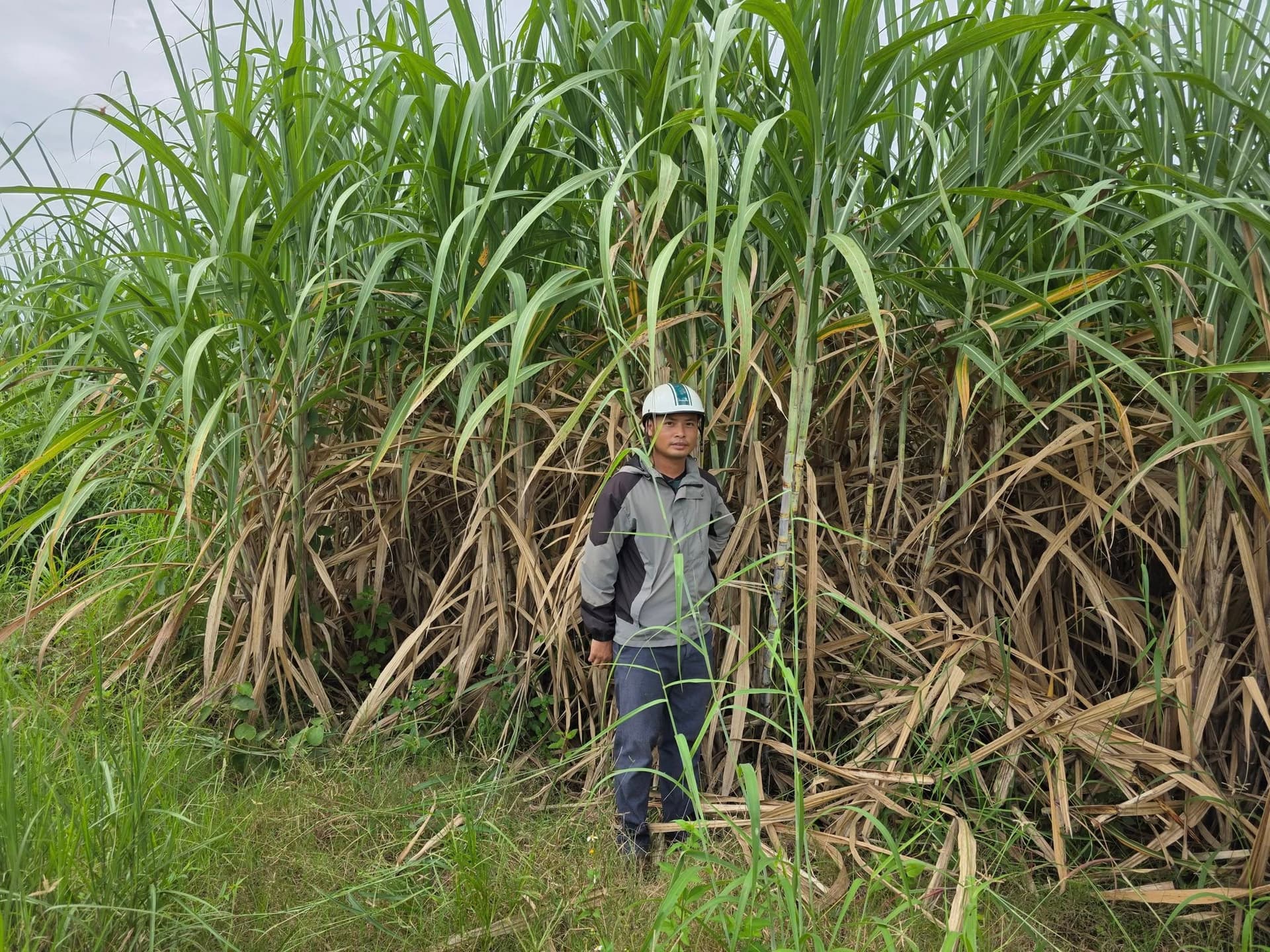 Bán đất X. H Bông, H. Chư Sê, T. Gia Lai