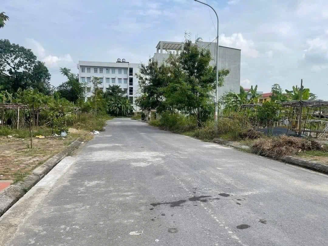 Bán đất Đ. Hàn Thuyên, P. Kinh Bắc, Tp. Bắc Ninh, T. Bắc Ninh - Ảnh 2