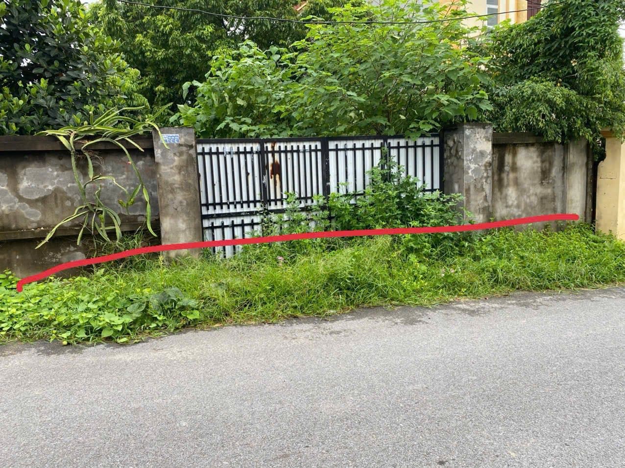 Bán đất X. Đồng Thịnh, H. Sông Lô, T. Vĩnh Phúc - Ảnh 2