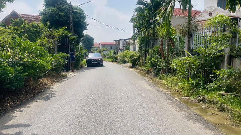 Bán đất X. Đồng Thịnh, H. Sông Lô, T. Vĩnh Phúc - Ảnh 3