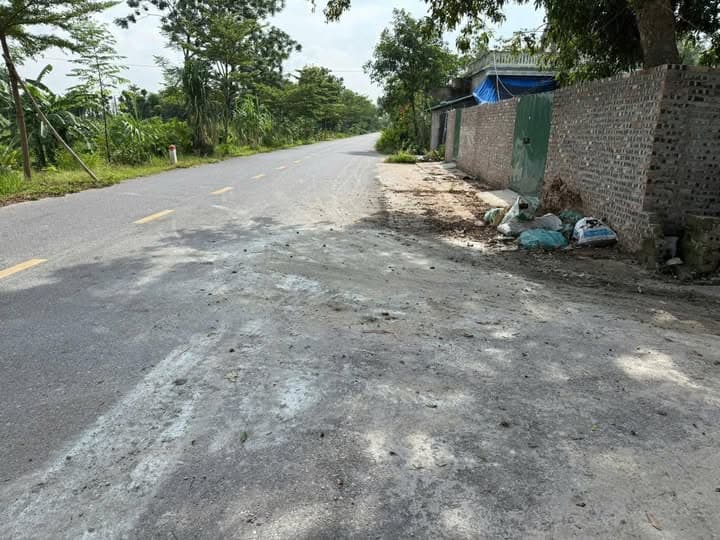 Bán đất X. Hồng Vân, H. Thường Tín, Tp. Hà Nội - Ảnh 3