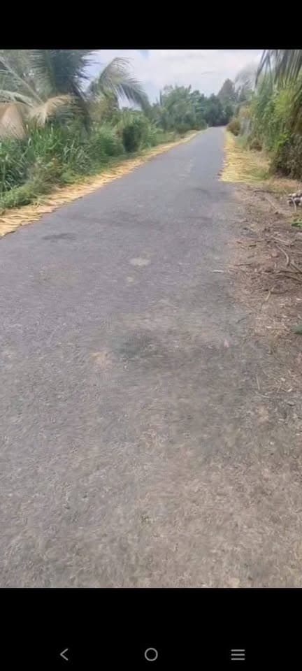 Bán đất Tp. Cao Lãnh, T. Đồng Tháp - Ảnh 2