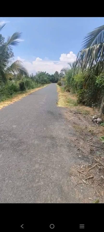 Bán đất Tp. Cao Lãnh, T. Đồng Tháp - Ảnh 3