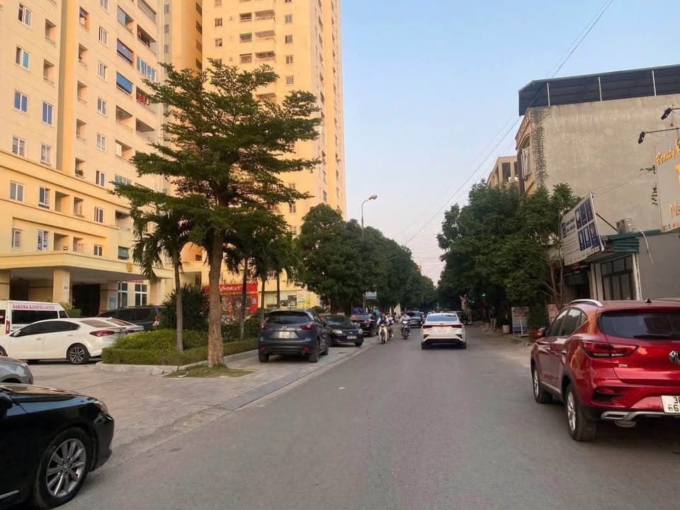 Bán đất Đ. Hạc Thành, Tp. Thanh Hóa, T. Thanh Hóa - Ảnh 3