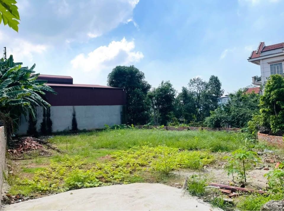 Bán đất Tp. Việt Trì, T. Phú Thọ - Ảnh 3