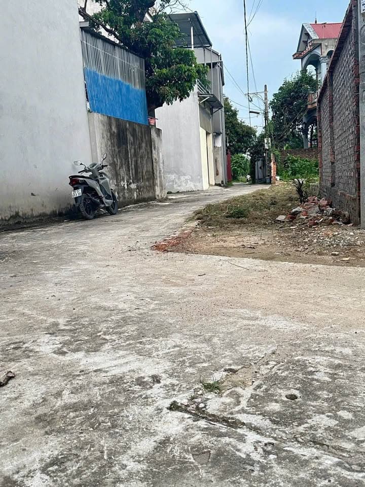 Bán đất H. Sóc Sơn, Tp. Hà Nội - Ảnh 3